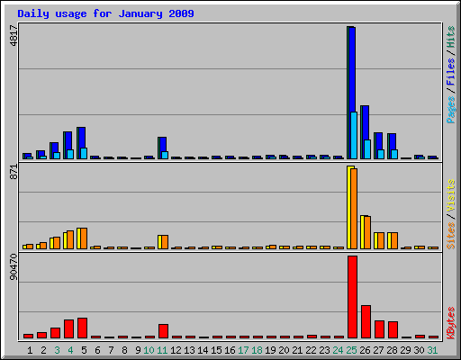 Daily usage for January 2009