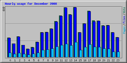 Hourly usage for December 2008