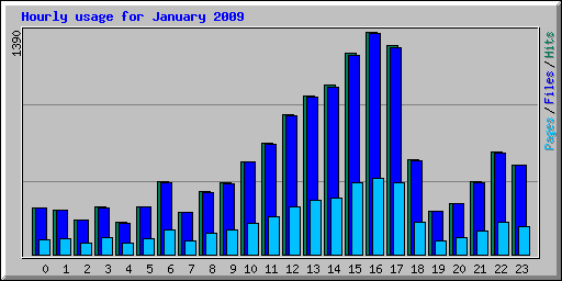 Hourly usage for January 2009